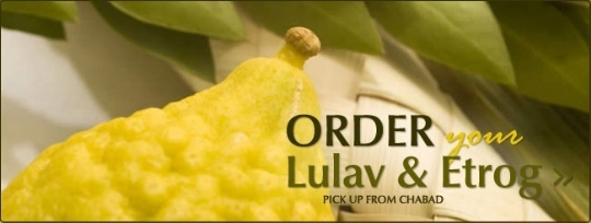 LULAV.jpg